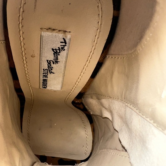 Leopard - Picture 6 of 6